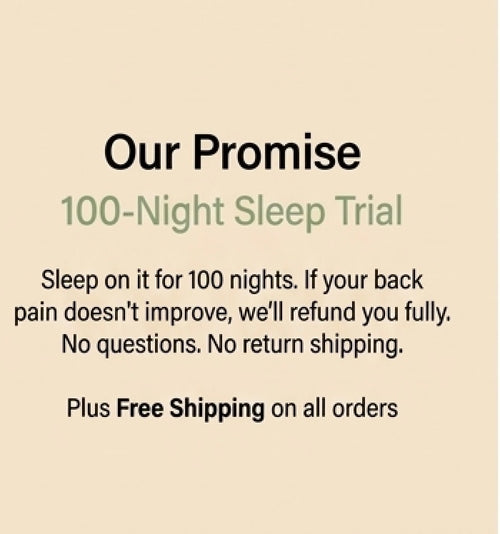SleepCore™ Therapeutic Alignment Pillow